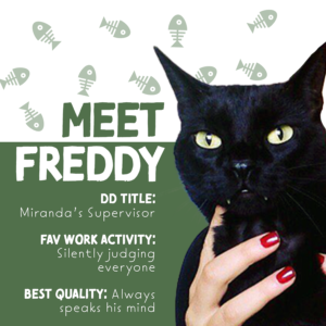 freddywebsite