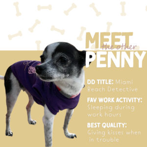 penny2website