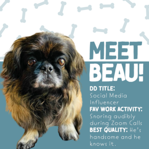 coworkerpost---beau